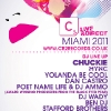 miami-flyer2